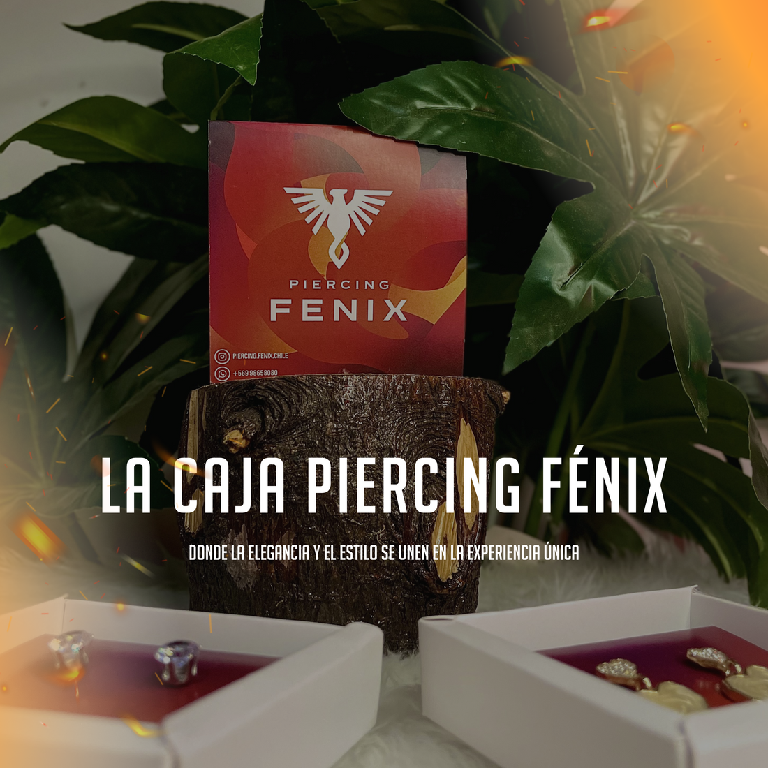 Explorando la Elegancia: La Caja Piercing Fénix