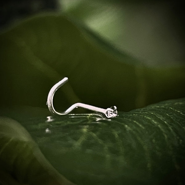 Colita de Chancho Brillante Nostril de Plata Ley 925